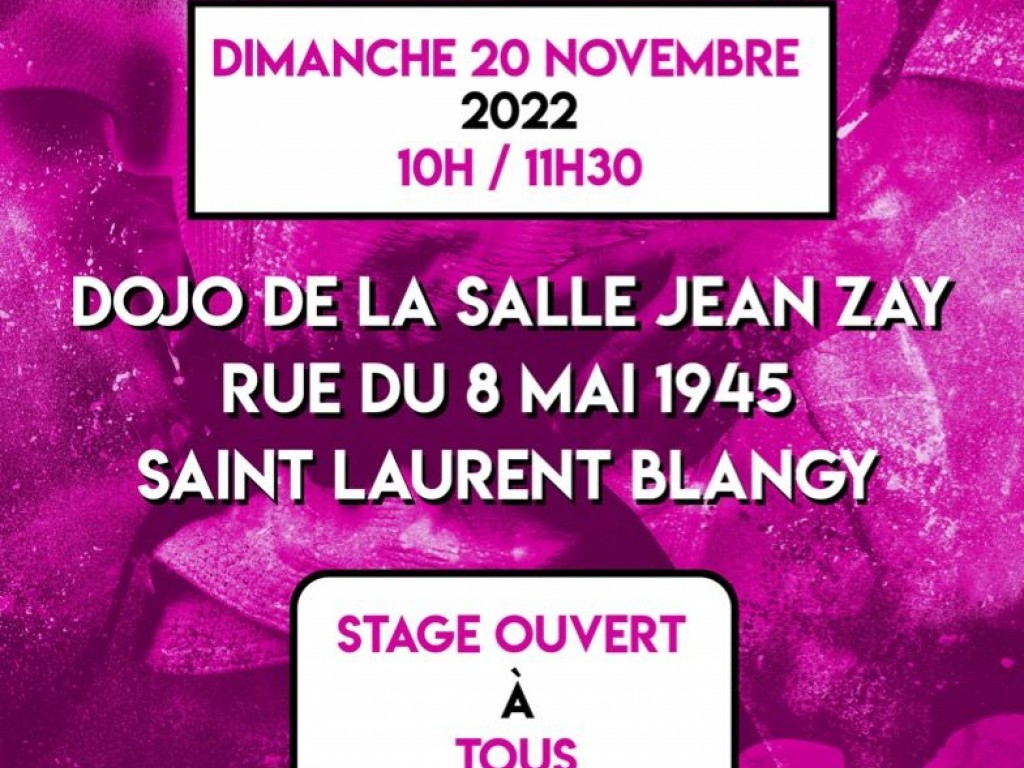 Image de l'actu 'StageDépartemental TAÏSO le 20 novembre à St Laurent Blangy'