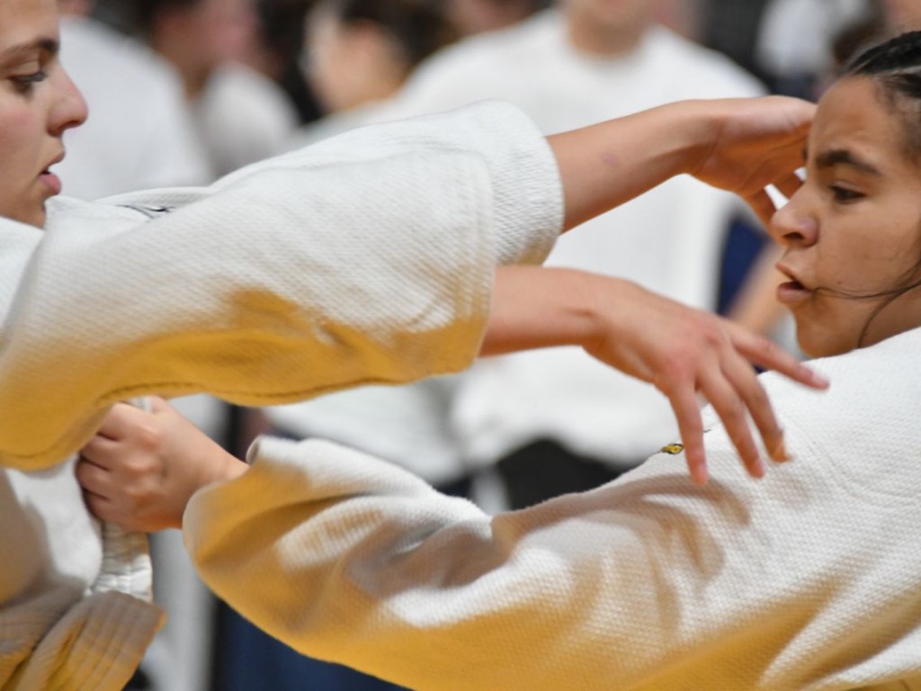 Image de l'actu 'Championnat départemental Juniors'